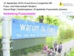 thumbnail of 20190904_Pusch_FVVV_Vertiefung_FV
